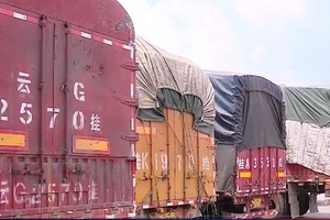 Hải quan tra xét gần 90 xe hàng thuốc bắc, thực phẩm vô chủ tại Lào Cai