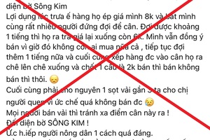 Bắc Giang: Vải thiều bị ép giá xuống 2.000 đồng/kg là không đúng sự thật