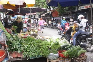 "Bão giá" rau xanh tại Quảng Ngãi