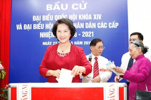 Bao nhiêu đại biểu dân cử có công ty “sân sau”?