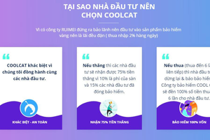 Bỏ tiền tỷ, vay nặng lãi đầu tư Coolcat: Người chơi "chết đứng" khi sàn sập