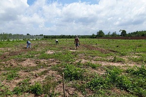 Bộ TN-MT cảnh báo lừa đảo tại các dự án nhà ở sai phép, không phép