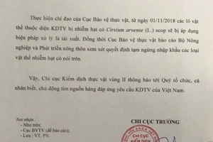 Cấm nhập khẩu lúa mì nhiễm cỏ dại: "Quá cảnh giác hay thiếu hiểu biết” (?!)