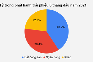 Cảnh báo rủi ro từ "mồi" lãi suất "khủng" của trái phiếu