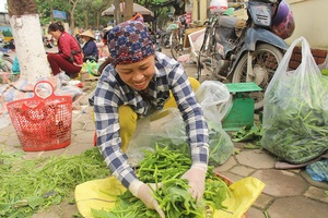 Cặp vợ chồng 20 năm giữa "đảo hoang", mỗi ngày 2 tạ rau bí bán khắp Hà Nội