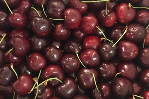 Cherry tại Mỹ có thực sự mất giá, mà ở Việt Nam chỉ hơn 200 nghìn đồng/kg?