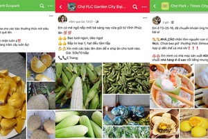 Chợ online chung cư lên ngôi trong mùa dịch Covid-19