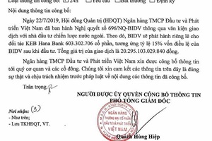 Chơi vụ lớn, nhóm đầu Việt Nam nhận nguồn tiền tỷ USD