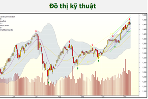 Chứng khoán 11/11: Dòng tiền rút khỏi VN30, chú ý bất động sản và dầu khí