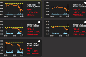 Chứng khoán tiếp tục bị bán tháo, giới đầu tư choáng váng