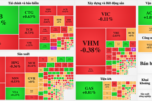 Cổ phiếu tăng giá 280%: “Món ngon không dễ nuốt”!