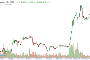 Cú chốt bất ngờ cuối năm, "ông bà chủ" Tập đoàn Masan thắng đậm