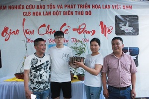 Đại gia Hà Nội chi 5 tỷ đồng mua giỏ lan nhìn như ngọn rau muống