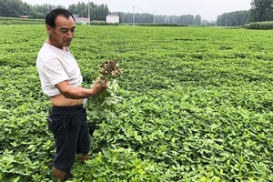 Mưa lớn, hạn hán liên tục giáng đòn kép vào người dân Trung Quốc