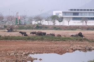 "Đắp chiếu" khắp nơi tăng vốn khủng, định lại giá nhiều khu đất vàng