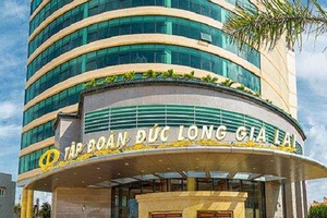 VietinBank rao bán dự án rộng 3.800m2 của Đức Long Gia Lai