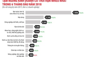 Doanh nghiệp đã được chết dễ dàng?