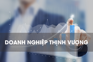 “Lợi nhuận, doanh thu là mục tiêu chính yếu của doanh nghiệp”