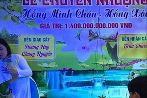 Đua nhau bịa giá trên trời, người chơi lan khiến thị trường náo loạn