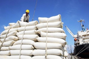 Gạo đầy kho, DN và các tỉnh đề xuất cho xuất khẩu trở lại