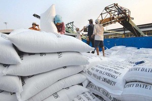 Giá gạo xuất khẩu của Việt Nam vượt cả Thái Lan