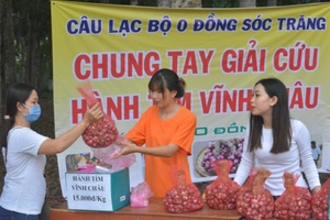 "Giải cứu" được cả trăm tấn hành tím Vĩnh Châu đặc sản giá 15.000 đồng/kg