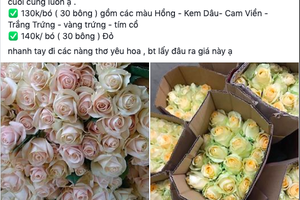 “Giải cứu” tôm hùm lãi 400 nghìn đồng/kg: Thực chất là giải cứu nhà hàng?