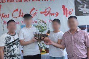 Giò lan đột biến gene chục tỉ đồng, trông như ngọn rau muống: Có phải nộp thuế?