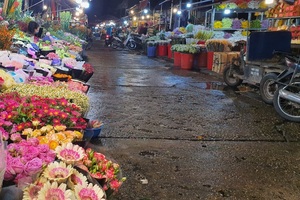 Hà Nội: Hoa đào bung nụ, tiểu thương bán hoa muốn "đánh nhanh rút gọn"