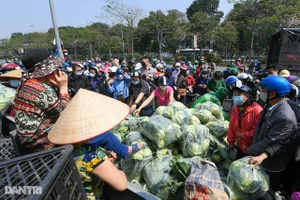 Hà Nội "ra tay" giải cứu hàng chục nghìn tấn nông sản vùng dịch