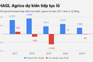 HAGL Agrico dự kiến thua lỗ trong năm đầu về tay tỷ phú Trần Bá Dương