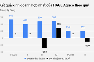 HAGL Agrico lỗ nặng, ban lãnh đạo trần tình với cổ đông