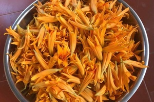 Hoa hiên mùa hè giá tiền triệu, đặc sản mỗi năm chỉ có một lần