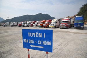 Trung Quốc tăng mua gạo Việt Nam gấp 4 lần, giảm hoa quả