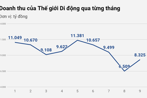 Hoàn cảnh trái ngược giữa các chuỗi của Thế Giới Di Động