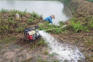 Hơn 330 tấn lúa giống đành đổ bỏ vì mưa lũ