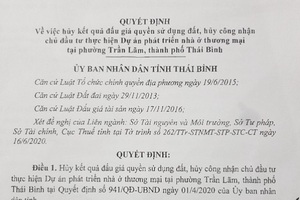 Hủy kết quả đấu giá 128 lô đất vợ chồng Đường “Nhuệ” từng rao bán