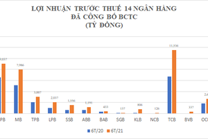 Lợi nhuận ngân hàng có nơi tăng "sốc" trên 600%, tiền gửi sụt giảm