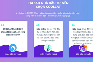 Mang cả gia tài đầu tư vào app, app tặng lại một khoản nợ khổng lồ