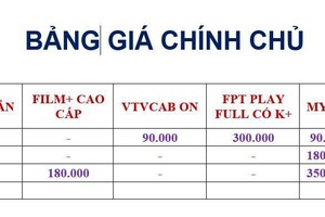 Mất tiền oan khi mua các tài khoản Netflix, Clip TV "dùng chung" giá rẻ