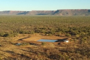 Một công ty Việt Nam mua ba trại chăn thả gia súc phía bắc Australia