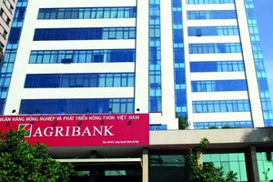 Ngân hàng Nhà nước giao người điều hành hội đồng thành viên Agribank