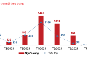 Nhà đầu tư tay ngang ôm đất giá không tưởng, chấp nhận cắt lỗ, bán tháo