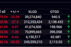 Nhà đầu tư tháo chạy, VN-Index bị "thổi bay" hơn 27 điểm