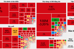 Nỗi lo Covid-19 trở lại, chứng khoán Việt bị bán tháo