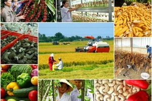 Tăng trưởng ngành nông nghiệp thấp có thể ảnh hưởng tới GDP quý I