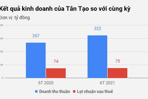 Nữ đại gia Đặng Thị Hoàng Yến đổi tên, Tân Tạo chưa đổi vận