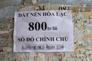 Nửa năm sau cơn sốt đất Đồng Trúc, đất Hòa Lạc lại "dậy sóng"?