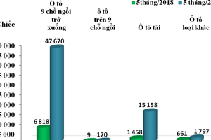 Ôtô nước ngoài ồ ạt vào Việt Nam, nhập khẩu tăng nóng 700%