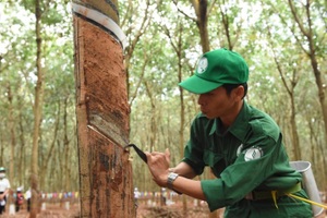 Phước Hòa lãi khủng nhờ khoản đền bù đất